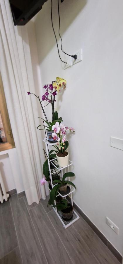 Orchidea Bed and Breakfast Bologna Eksteriør billede